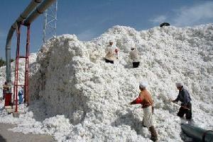 �޻���Ƥ��