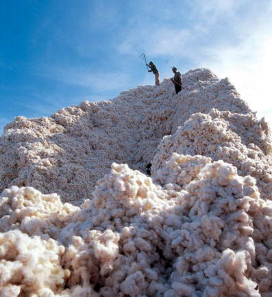 �޻���Ƥ��