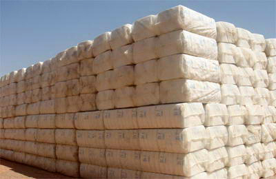 �޻���Ƥ��