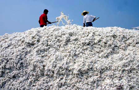 �޻���Ƥ��